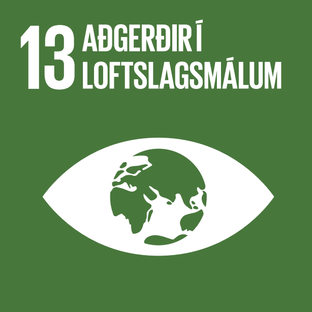 Aðgerðir í loftslagsmálum