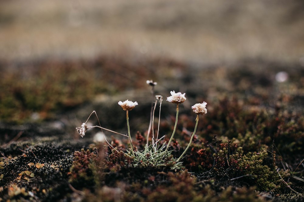 Mynd: Þórdís Björt Sigþórsdóttir